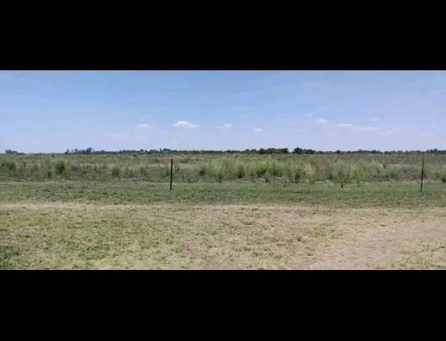 LAND FOR SALE IN KOPPIES